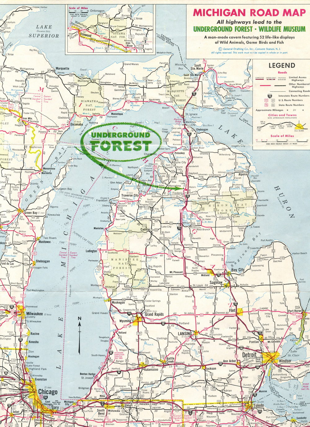 Underground Forest - Old Flyer (newer photo)